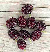 mulberries