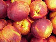 nectarine