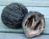 black walnut