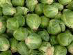 Brussels sprouts