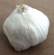 garlic bulb