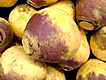 rutabaga