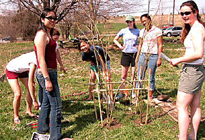 Weaving a willow chair around a temporary bamboo frame.