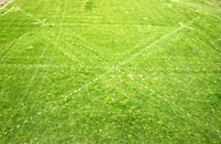 Snowflake turf art.