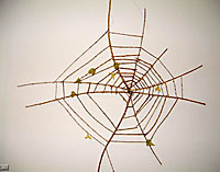 My Live In A Web.