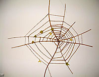 My Live In A Web.