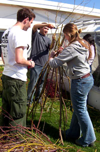 Building a dogwood cone.