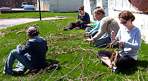 Making grapevine garlands.