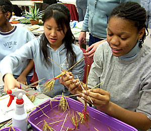 floral arrangements