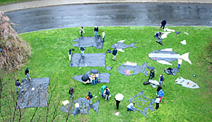 Making lawn fish from the 5th floor of The Johnson.