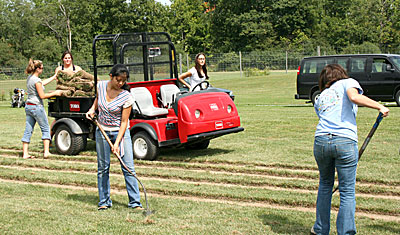 sod sculpture construction