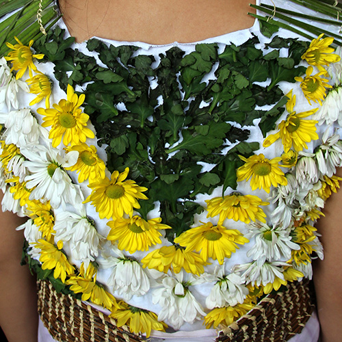 botanical fashion show