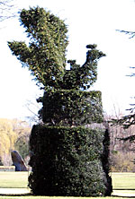 topiary