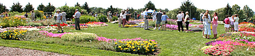 2006 Cornell Floriculture Field Day attendees view annual flower trials at Bluegrass Lane Research Facility.