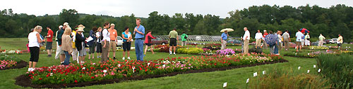 2007 Cornell Floriculture Field Day attendees view annual flower trials at Bluegrass Lane Research Facility.