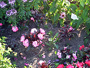 August 30 view