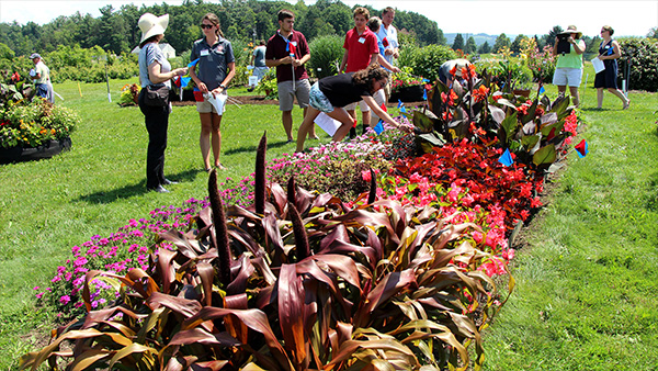 2017 floriculture field day