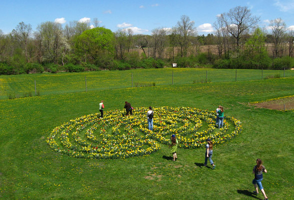 High angle image of labyrinth in bloom by Bob Chiang, Landmark Images. Used with permission. 