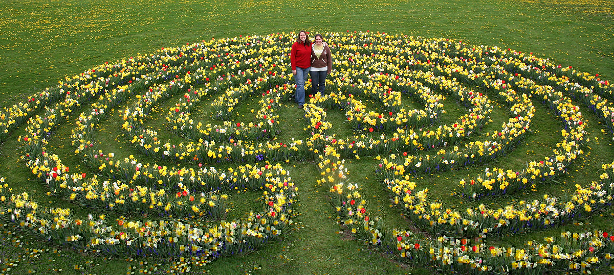 Flower bulb labyrinth, Annual Flower Research at Bluegrass Lane,  Horticulture Section, Cornell University