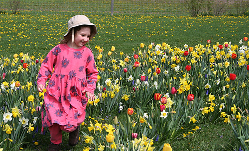 The joy of walking the labyrinth at the open house on May 2, 2009.