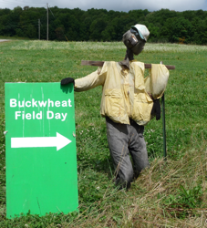 Scarecrow welcoming visitors to field day