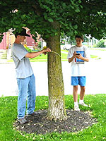 Measuring tree trunk.  Photo by David Swaciak.