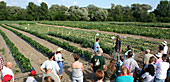 Click for homepage.  Field day visitors at Freeville Organic Research Farm