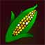 Corn logo