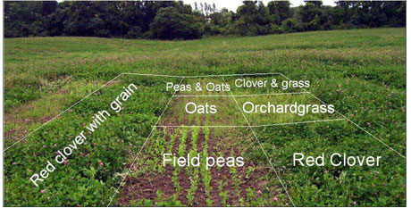 2007 field plot