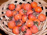 Persimmons