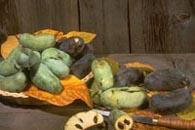 Pawpaw fruit