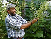 Craig with plume poppy