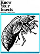 Know Your Insects