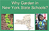 Why Garden ... ? screenshot