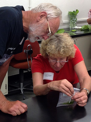Hands-on IPM workshop