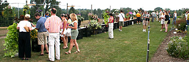 Floriculture field day participants view container contest entries.