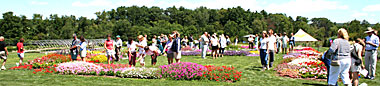 Floriculture field day participants view test plantings at Bluegrass Lane.