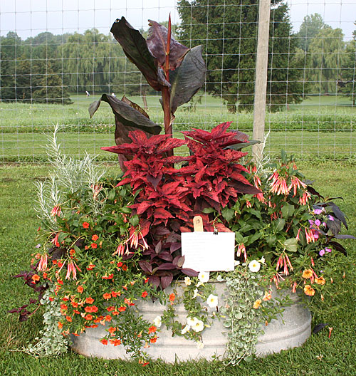 container contest entrant