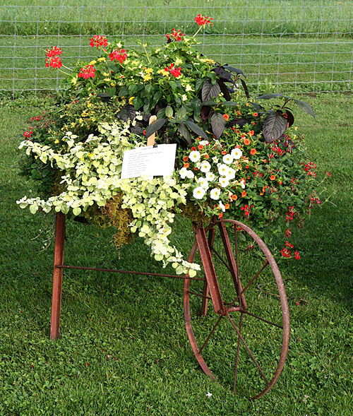 container contest entrant