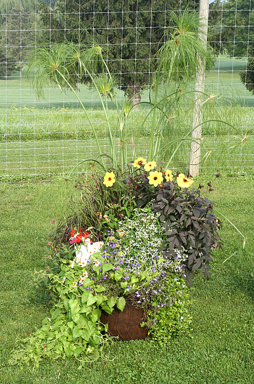 container contest entrant