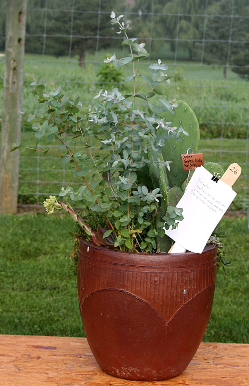 container contest entrant