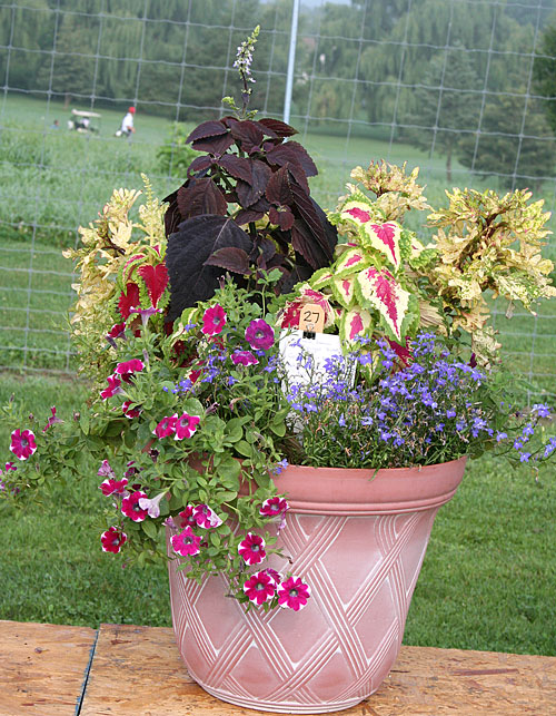 container contest entrant