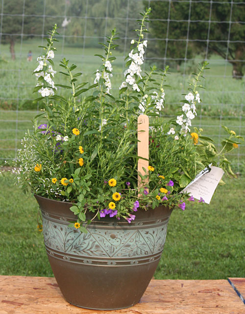 container contest entrant