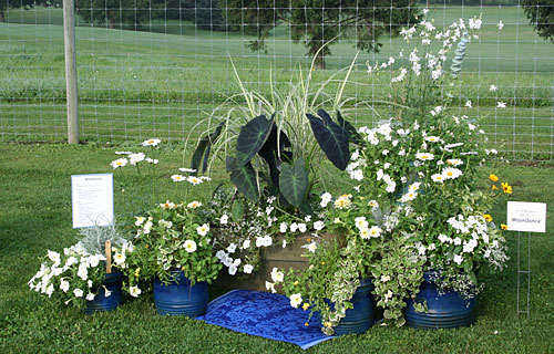 container contest entrant