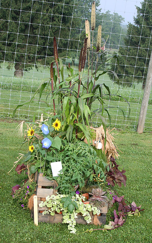 container contest entrant