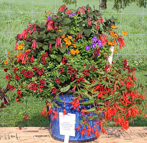 container contest entrant