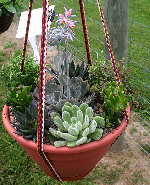 container contest entrant