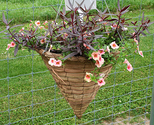 container contest entrant