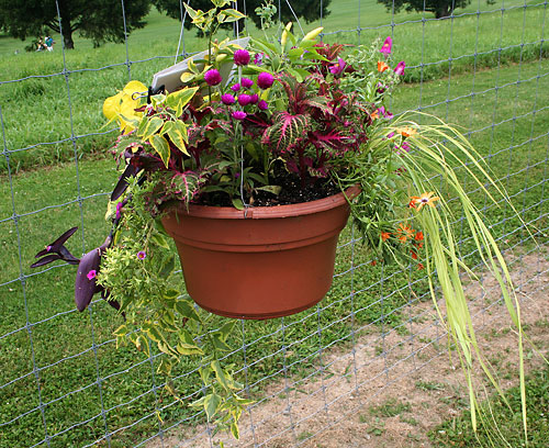 container contest entrant