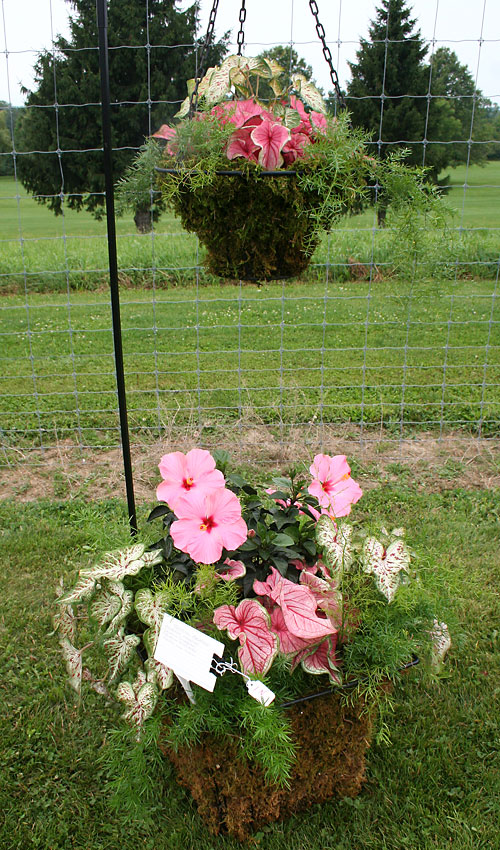 container contest entrant